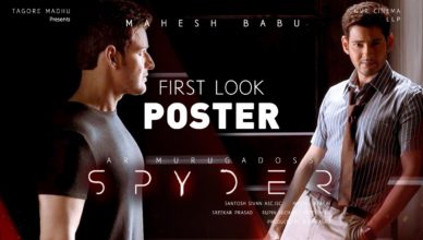 Spyder