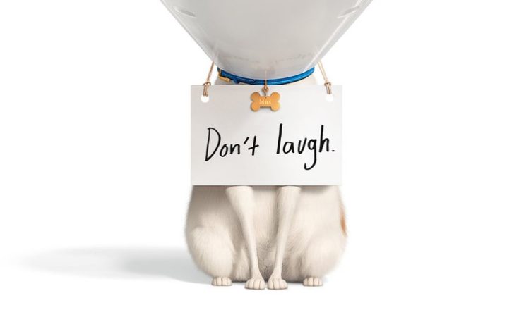 Secret Life Of Pets 2