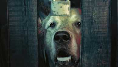 Watchman