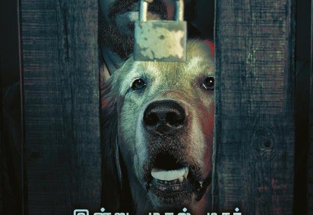 Watchman