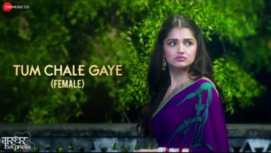 Tum Chale Gaye