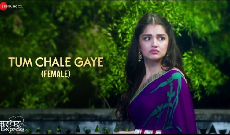 Tum Chale Gaye