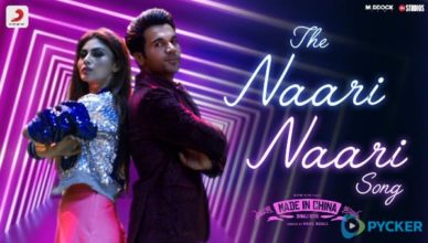 the naari naari song